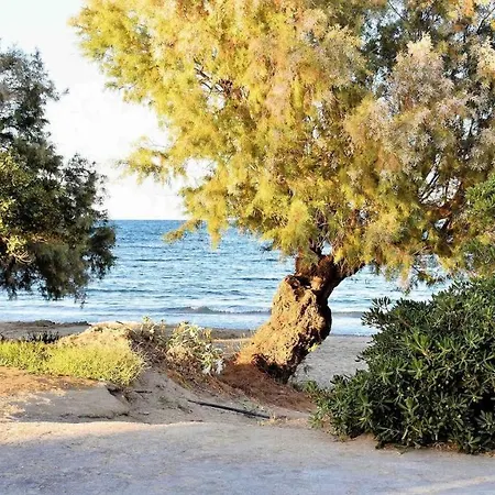 Glaros * Kalamaki (Chania)